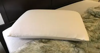 Don't Buy Until You Read This: Purple Gridcloud Pillow vs Fortect Antivirus